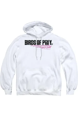 Birds Of Prey Horizontal Logo Adult Pull Over Hoodie / Hooded Sweatshirt