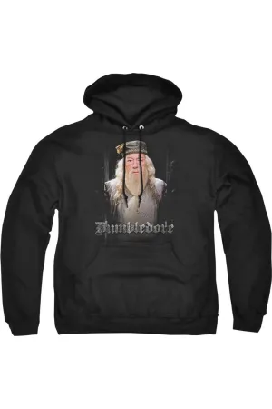 Harry Potter Dumble Doors Adult Pull Over Hoodie / Hooded Sweatshirt