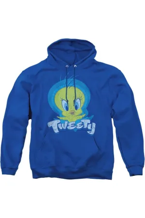 Looney Tunes Tweety Swirl Adult Pull Over Hoodie / Hooded Sweatshirt