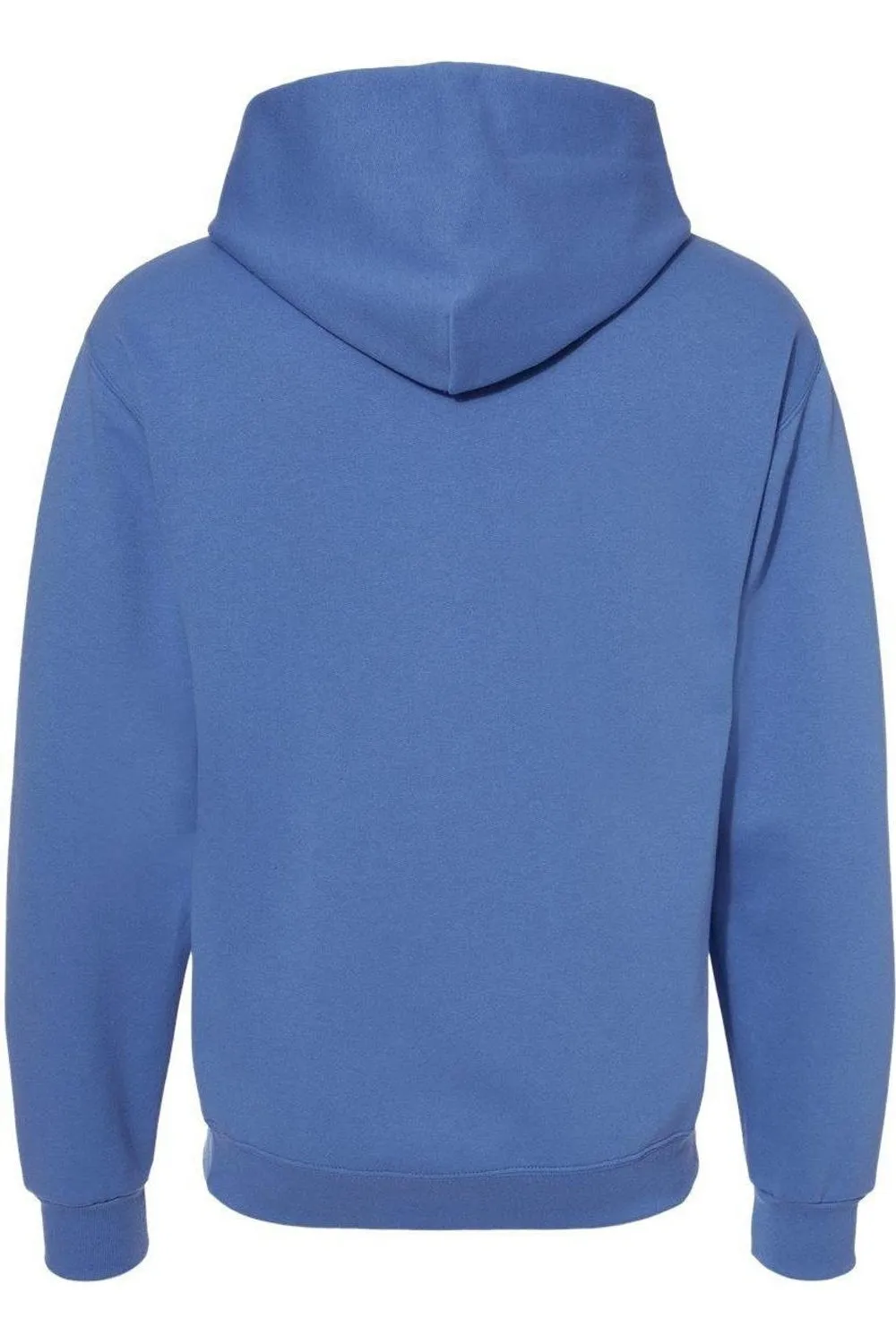 Looney Tunes Tweety Swirl Adult Pull Over Hoodie / Hooded Sweatshirt