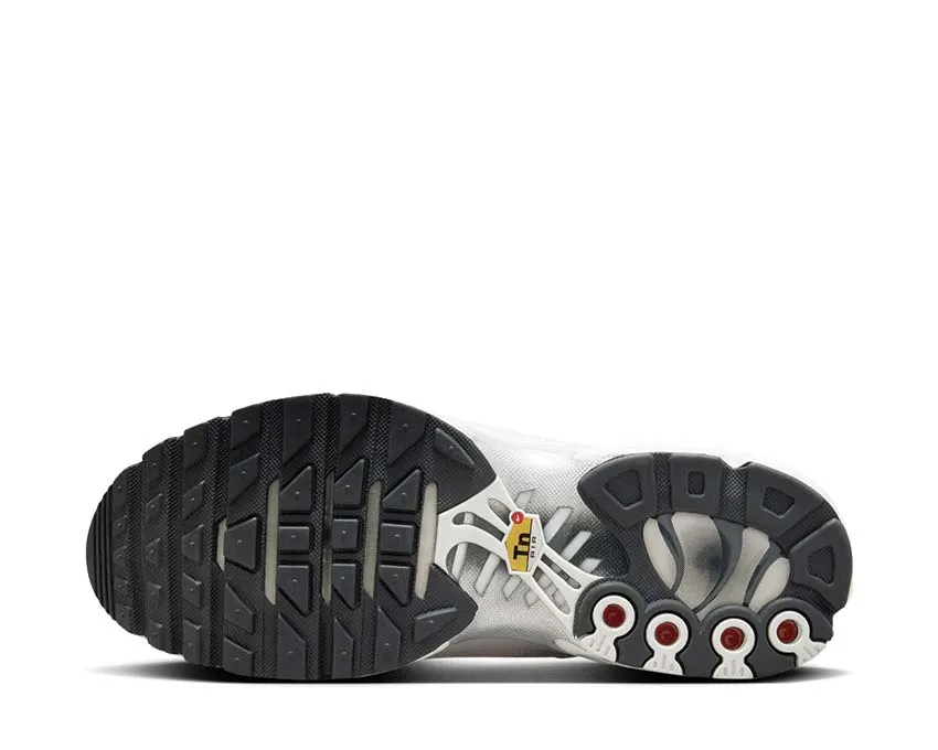Nike Shoes Nike Air Max Plus W