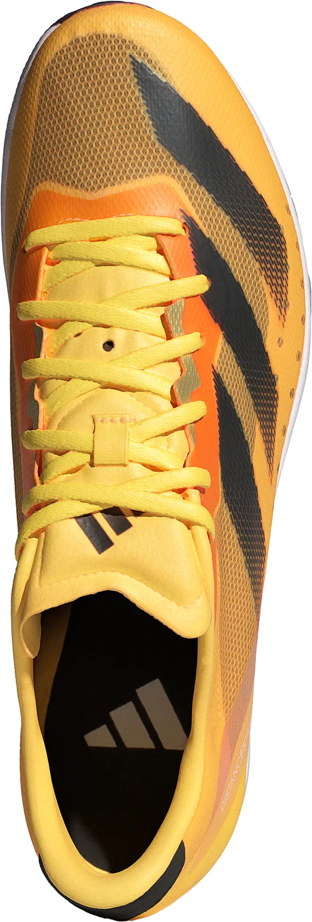 Shoes Adidas  Women adidas Distancestar Running Spikes - Orange