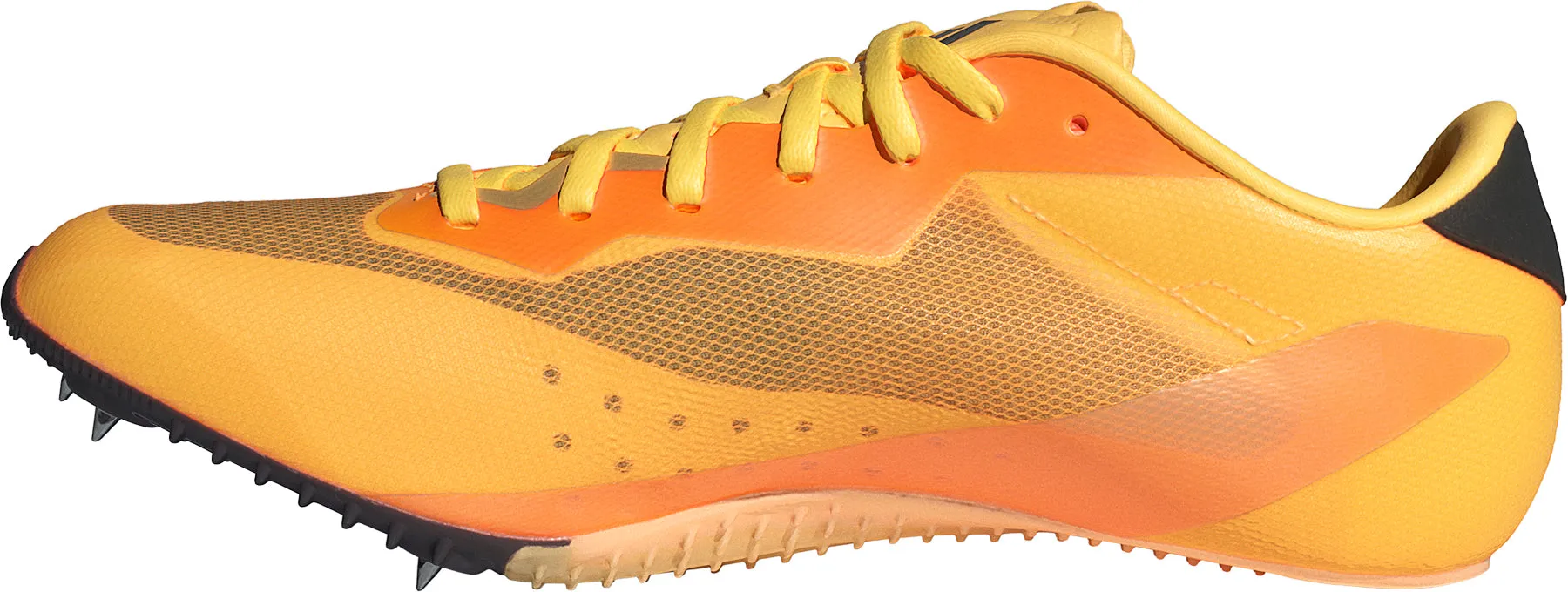 Shoes Adidas  Women adidas Sprintstar Running Spikes - Orange