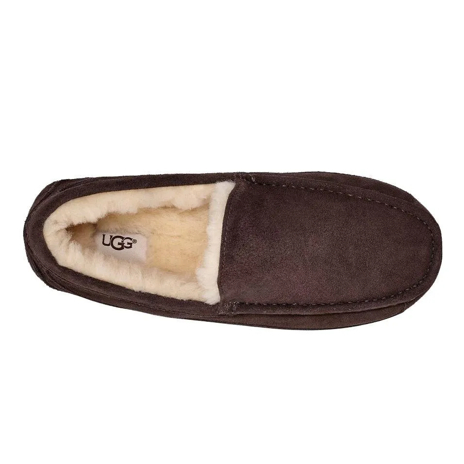 UGG Men's Ascot Espresso Suede UGG Shoes