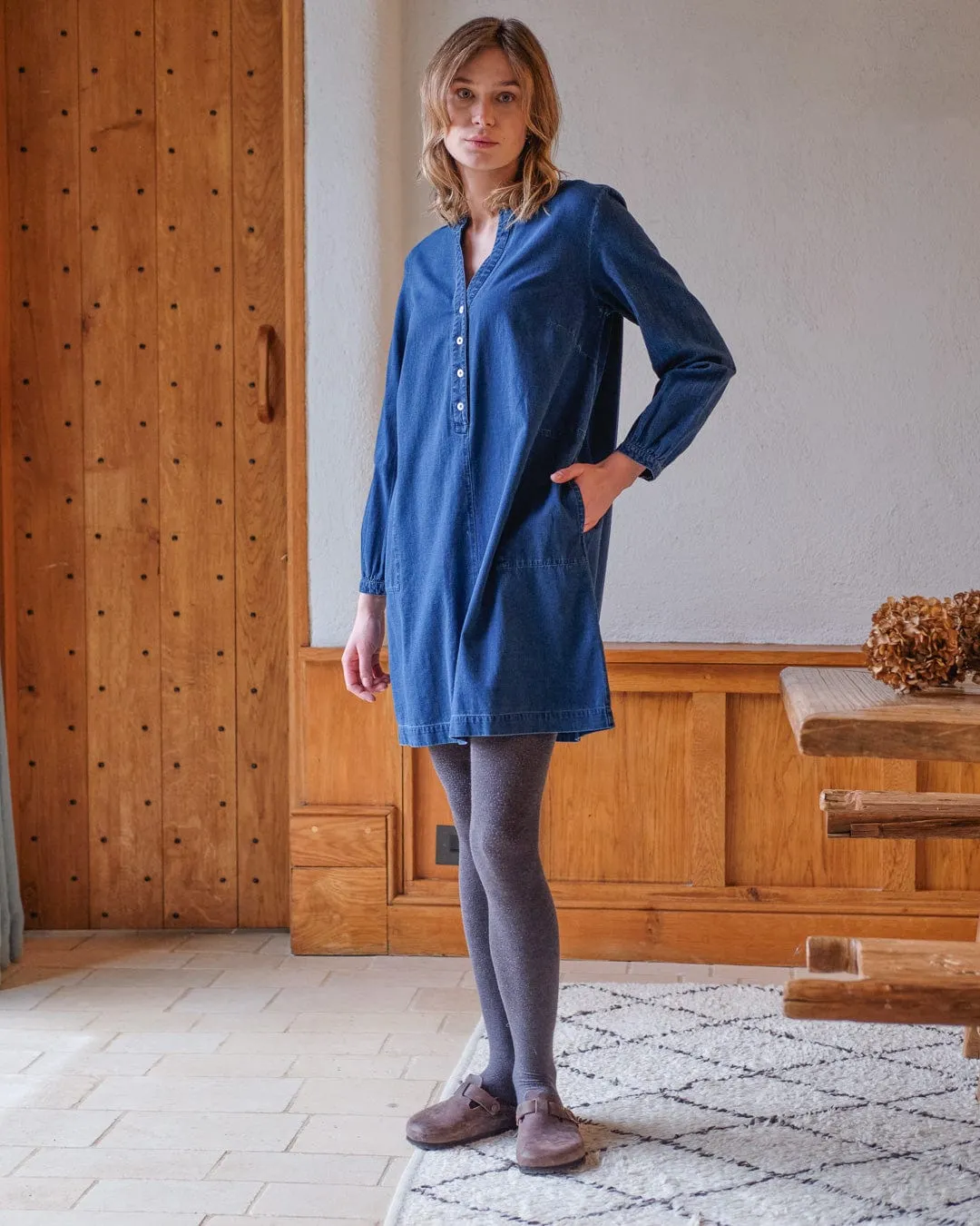 Wren Cotton Dress | Denim